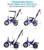 Push Trike Deluxe - Blue - Image 6