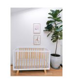 Scania Cot - Image 2